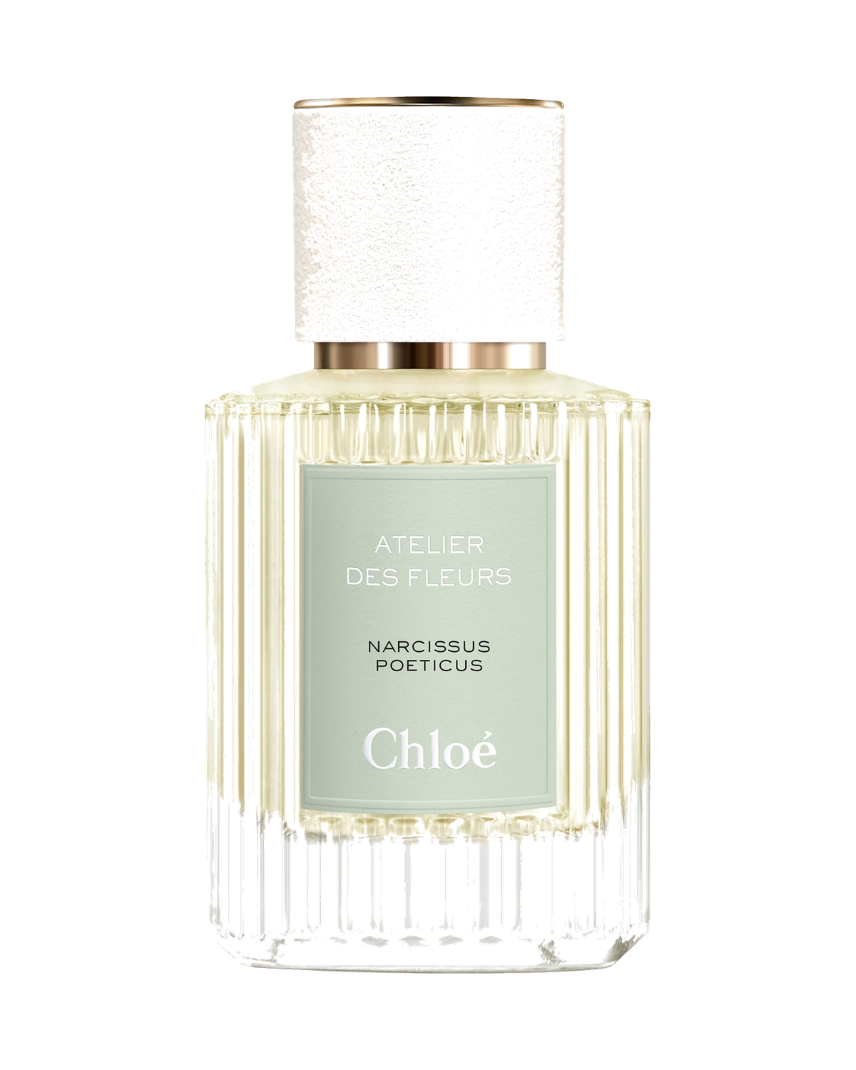 Chloe Atelier des Fleurs Narcissus Poeticus