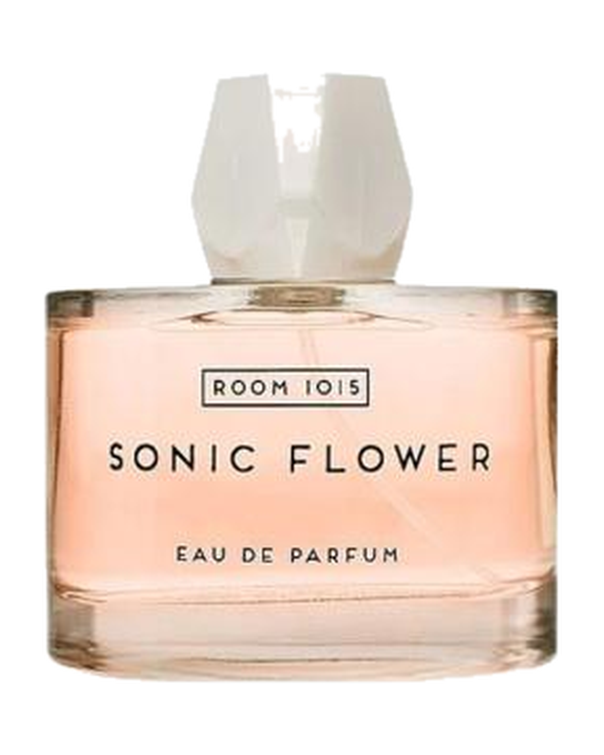 Room 1015 Sonic Flower