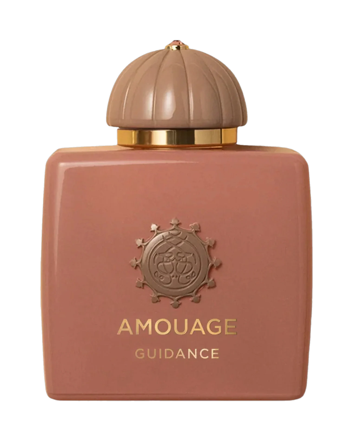 Amouage Guidance