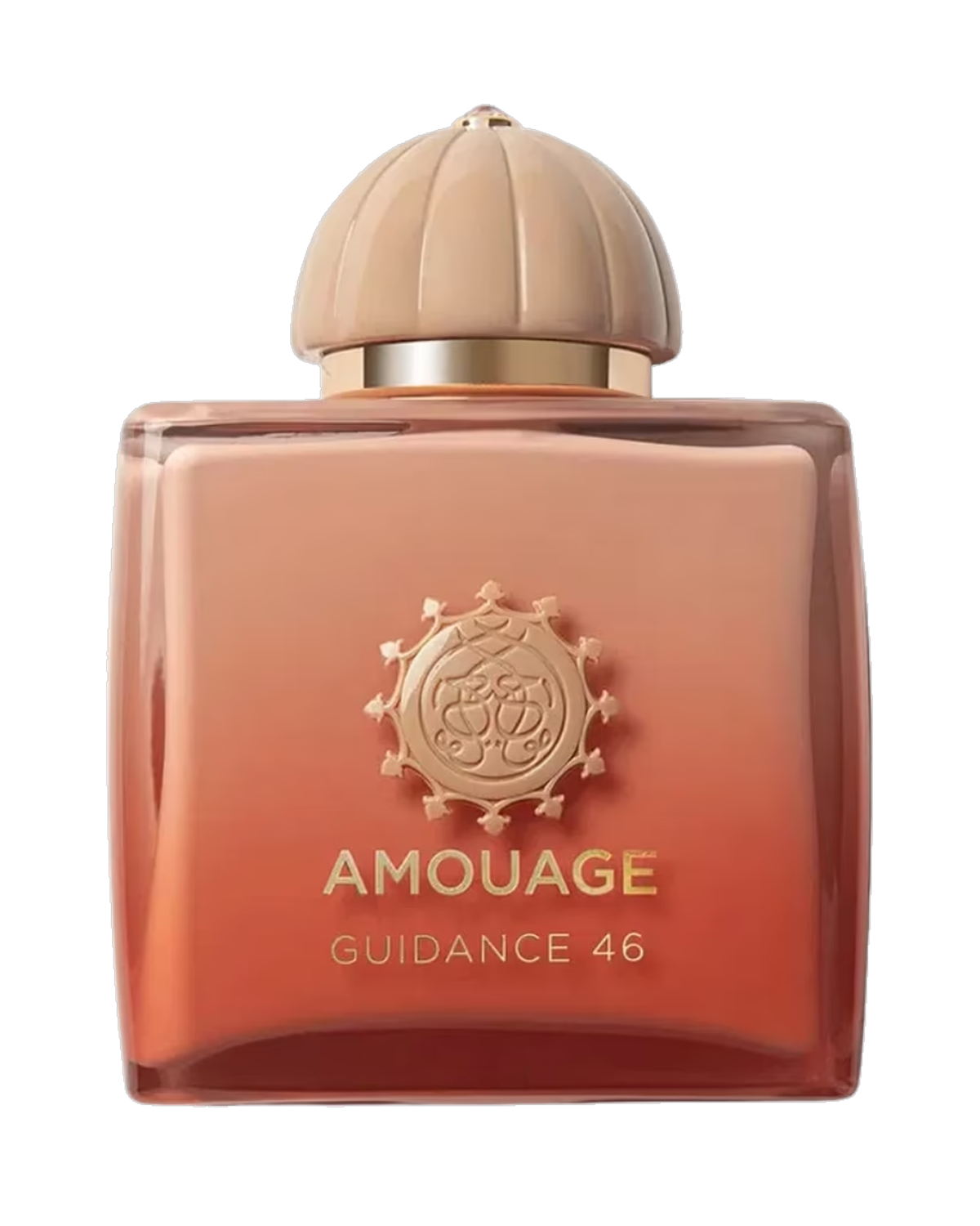 Amouage Guidance 46