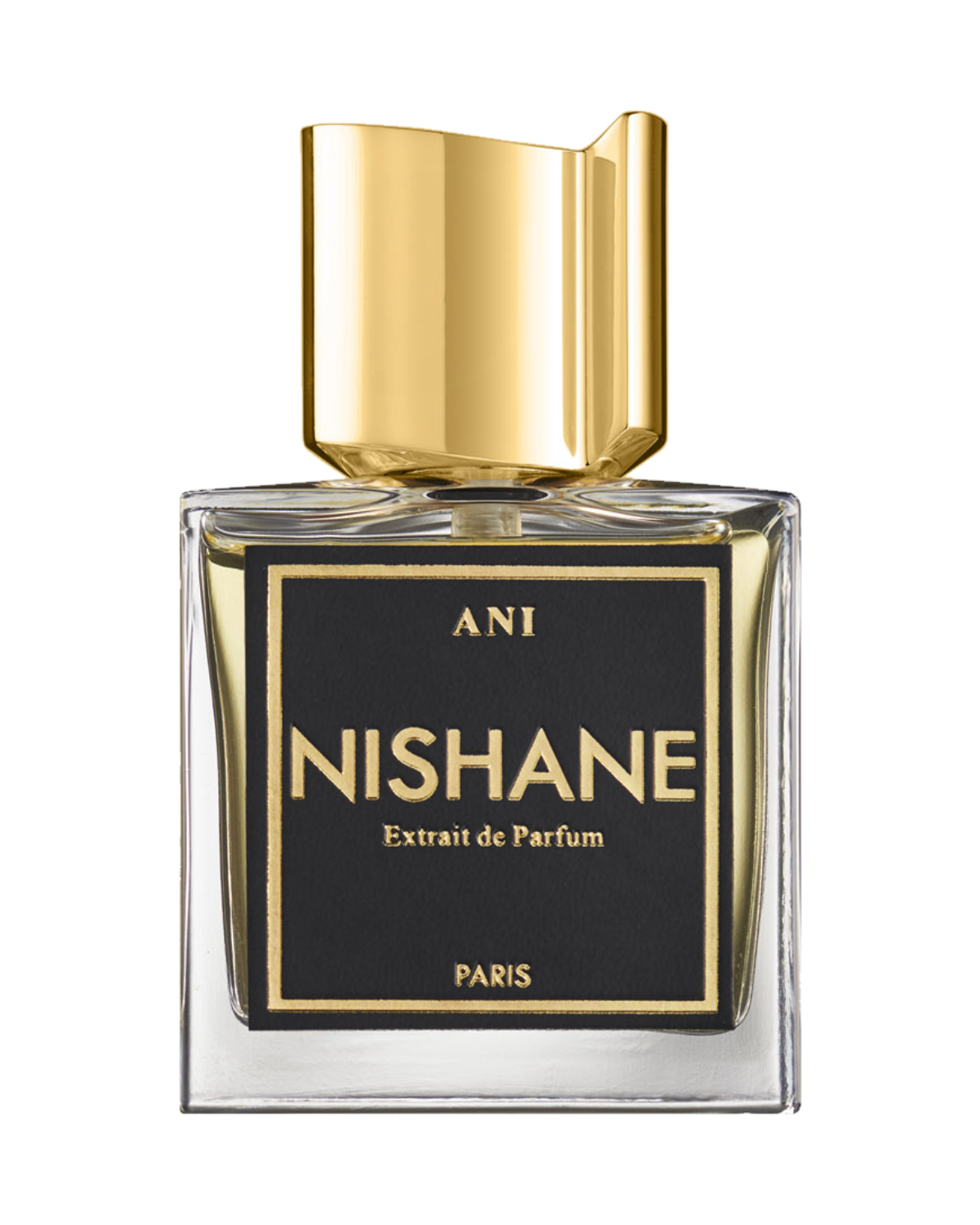 Nishane Ani