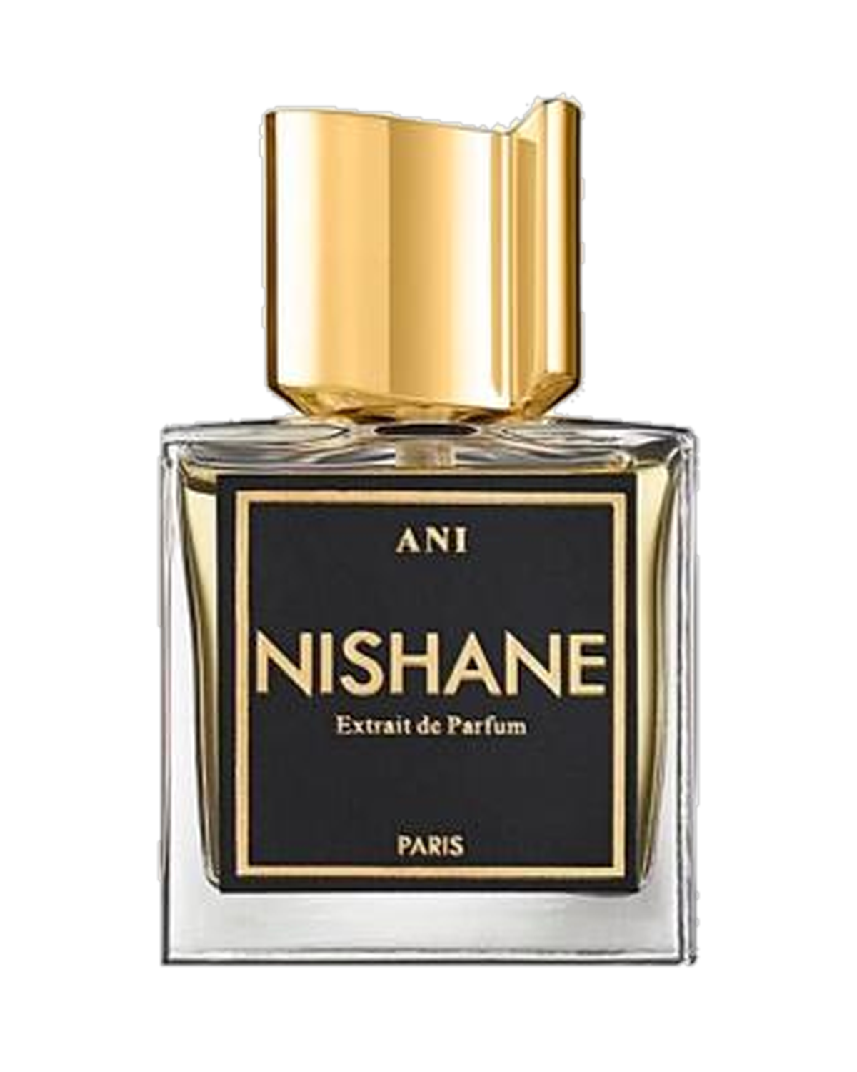 Nishane Ani