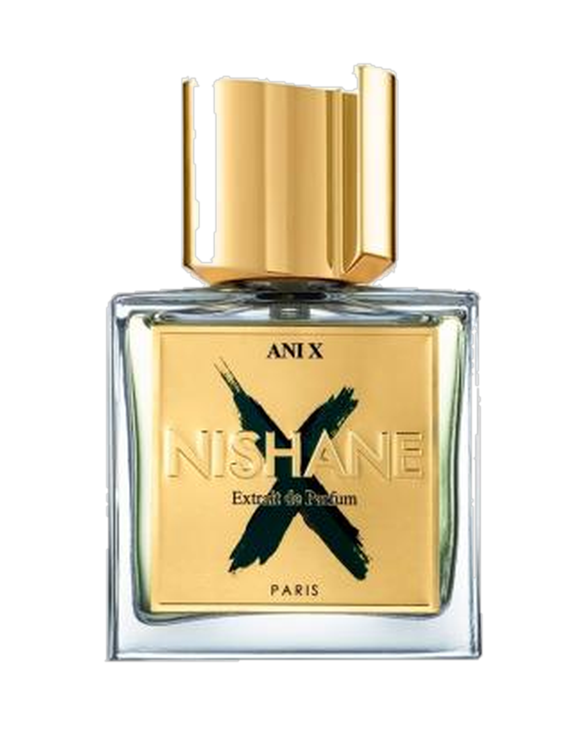 Nishane Ani X