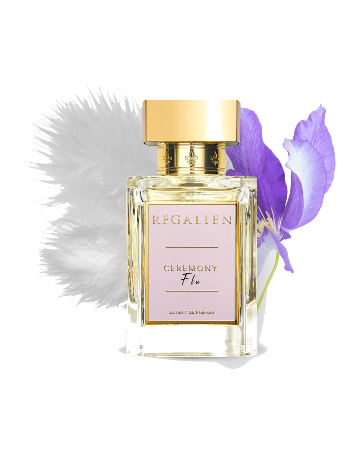 Regalien Ceremony Flu