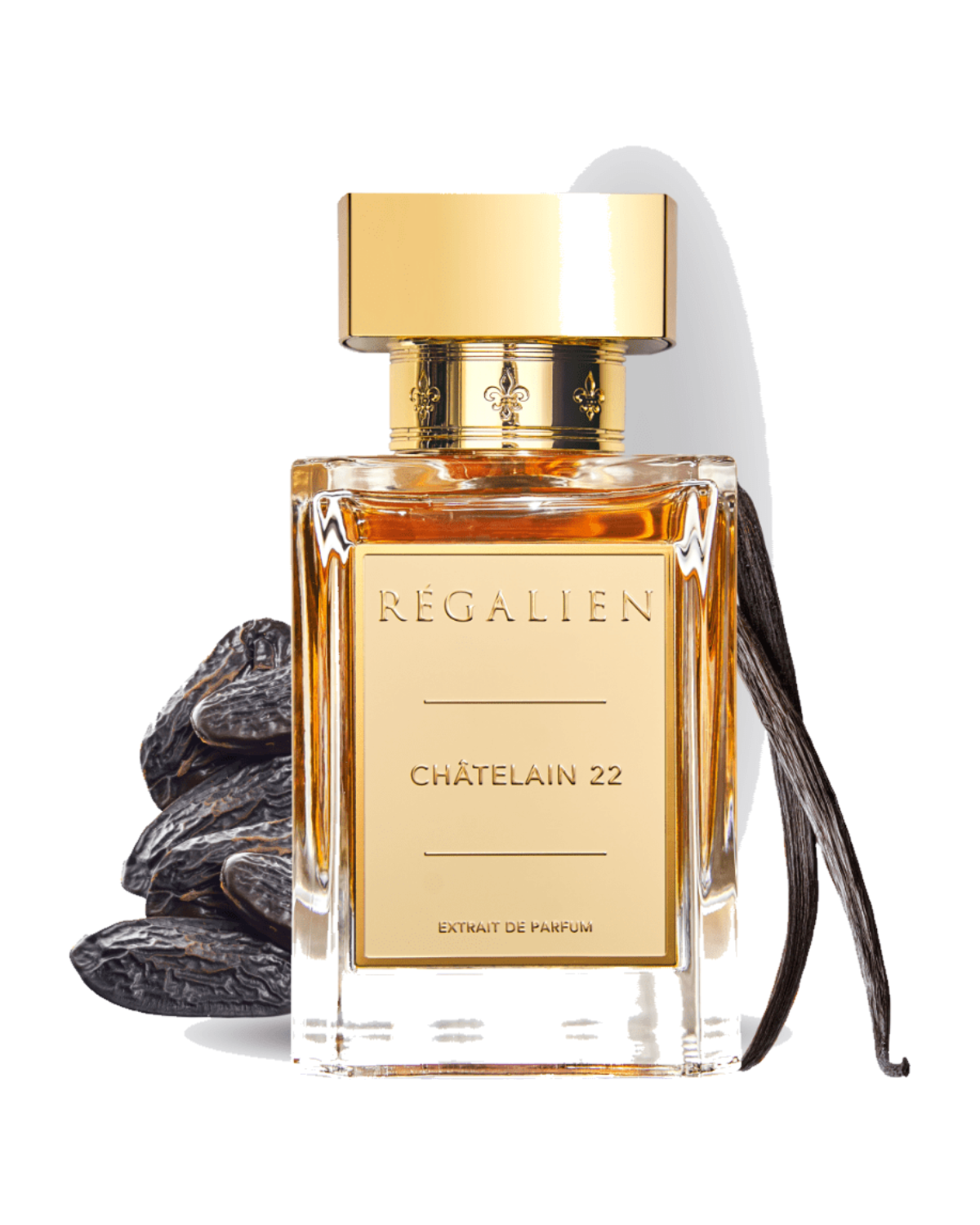Regalien Chatelain 22