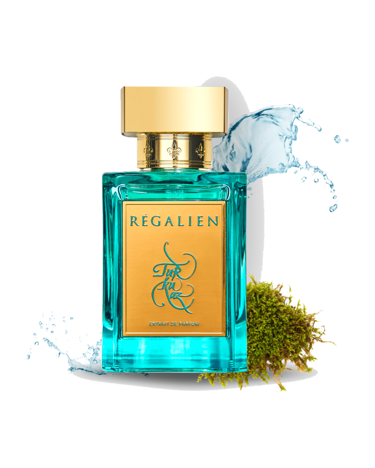 Regalien Turkuaz