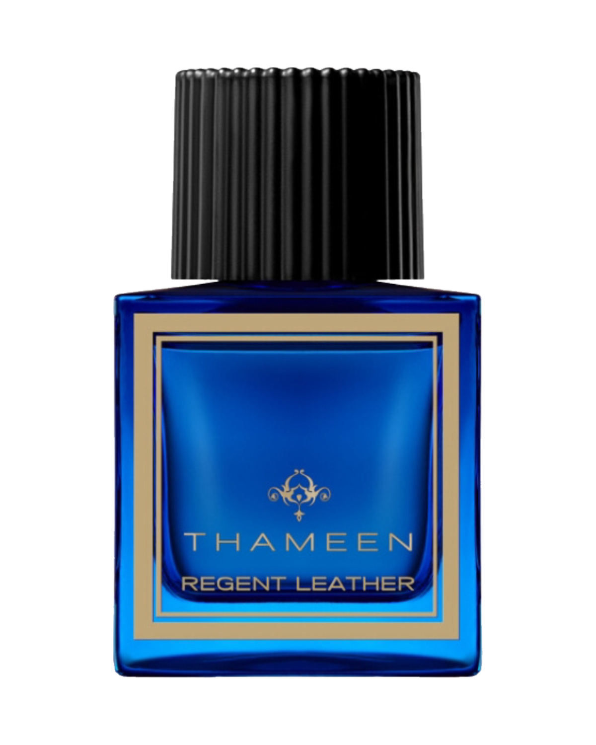 Thameen Regent Leather